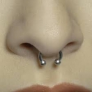 Septum